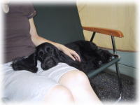 ������