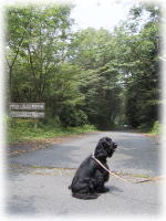 �T�C�g�����