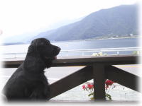 ���΂��o�b�N��