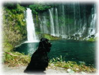 �����̑�