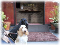 ���X�̑O��