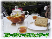 �t���[�c�e�B