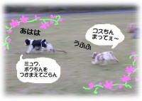 �R�X�����~���E