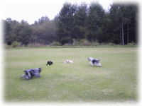 �^���^��