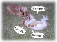 ����`����