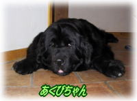 �����т����