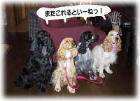 �܂���������