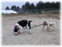 �R�X����������U����