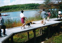 ���_�΂̂��U��