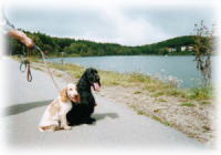 ���_�΂ɂ�