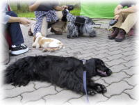 ������