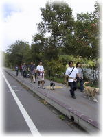 ���_�΂̂܂���