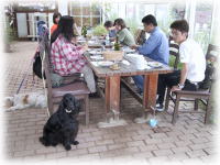 �����`�^�C��