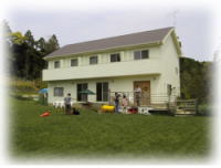 �y���V�����S�i