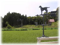 �h�b�O����