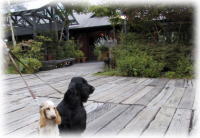 ���X�g��������