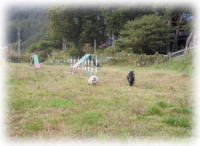 �h�b�O����