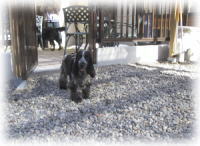 �h�b�O����