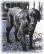 �\�t�B�����