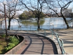DSCN7411.JPG