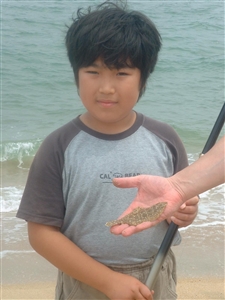 J[ނꂽʐ^