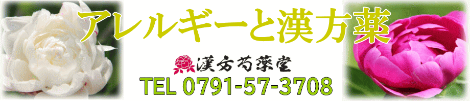 アレルギーと漢方薬【漢方芍薬堂】上郡町