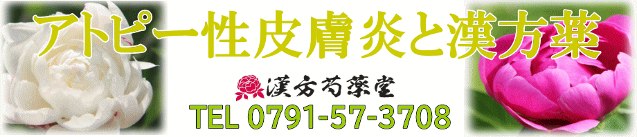 アトピー性皮膚炎と漢方薬【漢方芍薬堂】上郡町