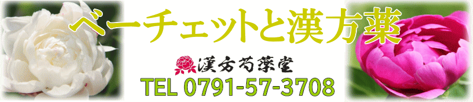 ベーチェット病と漢方薬【漢方芍薬堂】上郡町