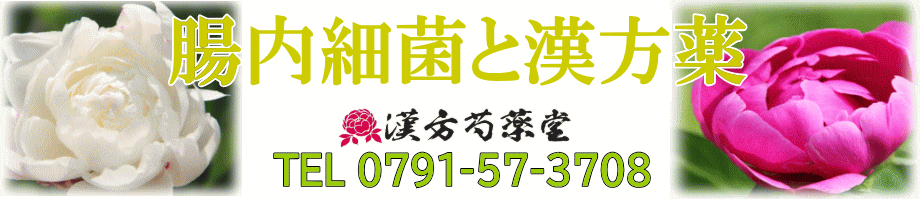 腸内細菌フローラ【漢方芍薬堂】上郡町