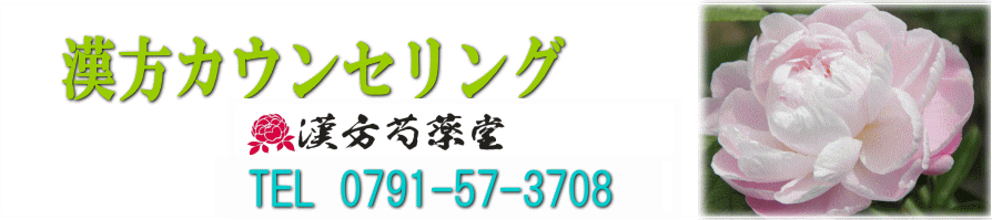 漢方カウンセリング【漢方薬専門】