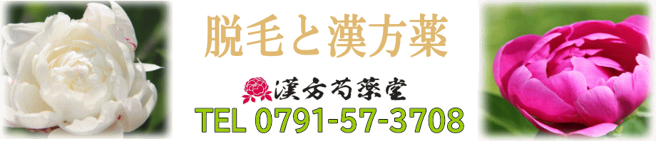 脱毛と漢方薬【漢方芍薬堂】上郡町