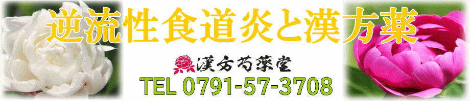 逆流性食道炎と漢方薬【漢方芍薬堂】上郡町