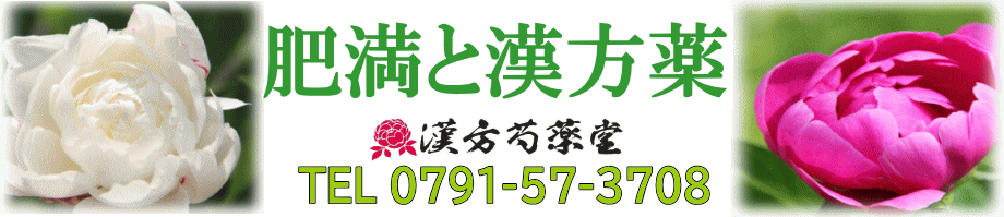 肥満と漢方薬【漢方芍薬堂】上郡町