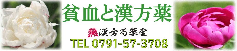 貧血と漢方薬【漢方芍薬堂】上郡町