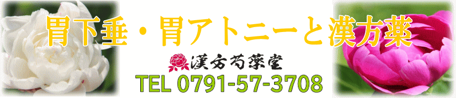 胃下垂・胃アトニー【漢方薬専門】上郡町