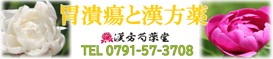 胃潰瘍・十二指腸潰瘍と漢方薬【漢方芍薬堂】上郡町