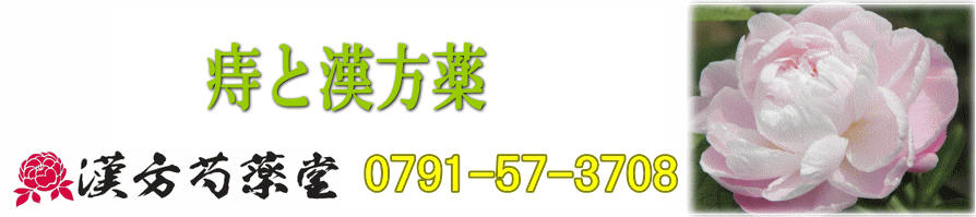 痔と漢方薬【漢方芍薬堂】上郡町