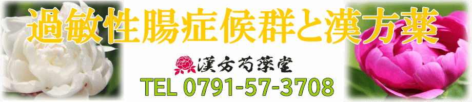 過敏性腸症候群と漢方薬【漢方芍薬堂】上郡町