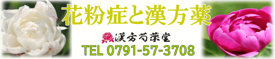 花粉症と漢方薬【漢方芍薬堂】上郡町