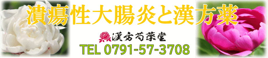 潰瘍性大腸炎と漢方薬【漢方芍薬堂】上郡町