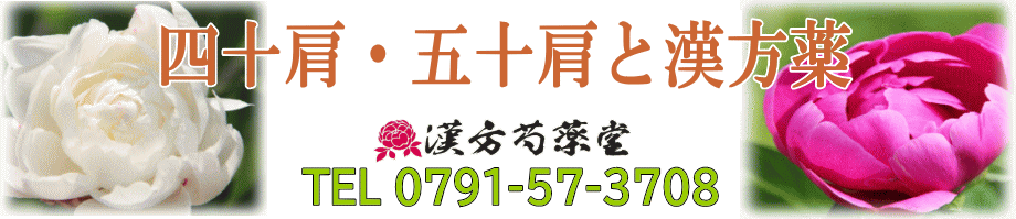 四十肩・五十肩と漢方薬【漢方芍薬堂】上郡町