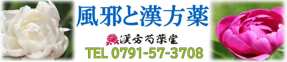 風邪・インフルエンザと漢方薬【漢方芍薬堂】上郡町