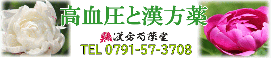 高血圧と漢方薬【漢方芍薬堂】上郡町