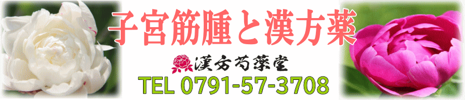 子宮筋腫と漢方薬【漢方芍薬堂】上郡町