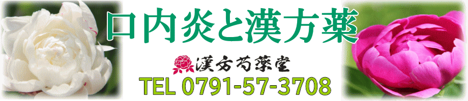 口内炎と漢方薬【漢方芍薬堂】上郡町