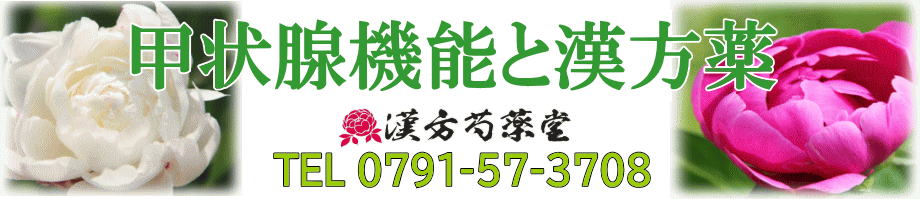 甲状腺機能と漢方薬【漢方芍薬堂】上郡町