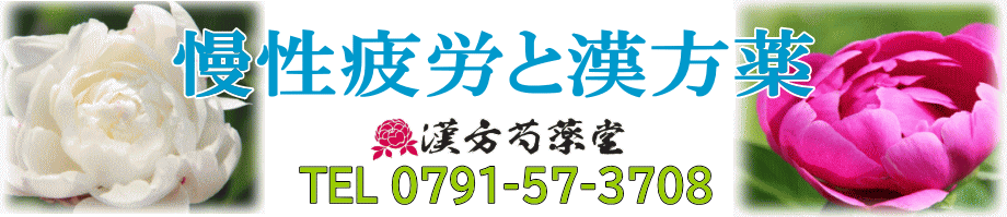 慢性疲労症候群と漢方薬【漢方芍薬堂】上郡町