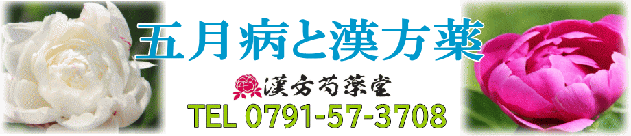 五月病と漢方薬【漢方芍薬堂】上郡町