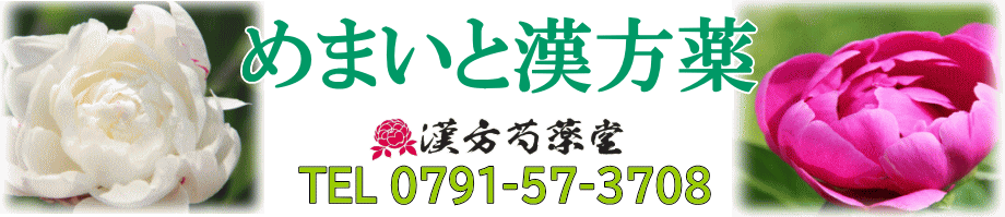 めまい（目眩）の漢方薬【漢方芍薬堂】上郡町