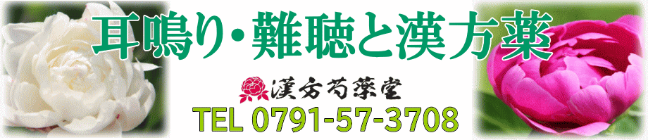耳鳴り・難聴の漢方薬【漢方芍薬堂】上郡町
